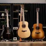 Three acoustic guitars on stands in a showroom—black, natural, and sunburst finishes from left to right, with shelves and plants in the background. ลดราคาพิเศษ