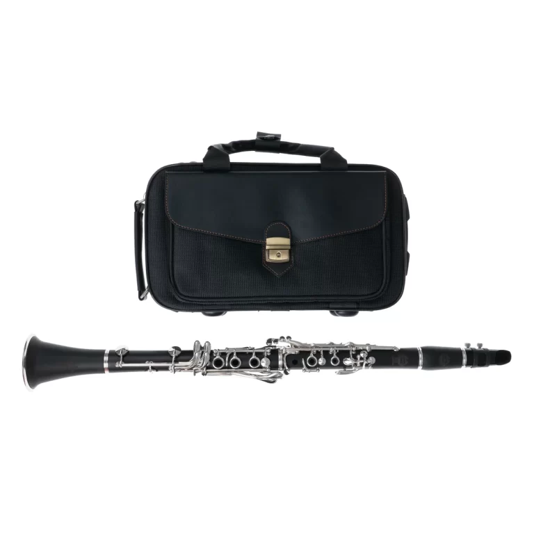 Black clarinet with silver keys placed below a matching black instrument case on a white background. ขายราคาพิเศษ