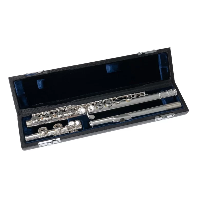 Open black case containing a silver flute laid in blue velvet lining, ready for playing. ขายราคาพิเศษ