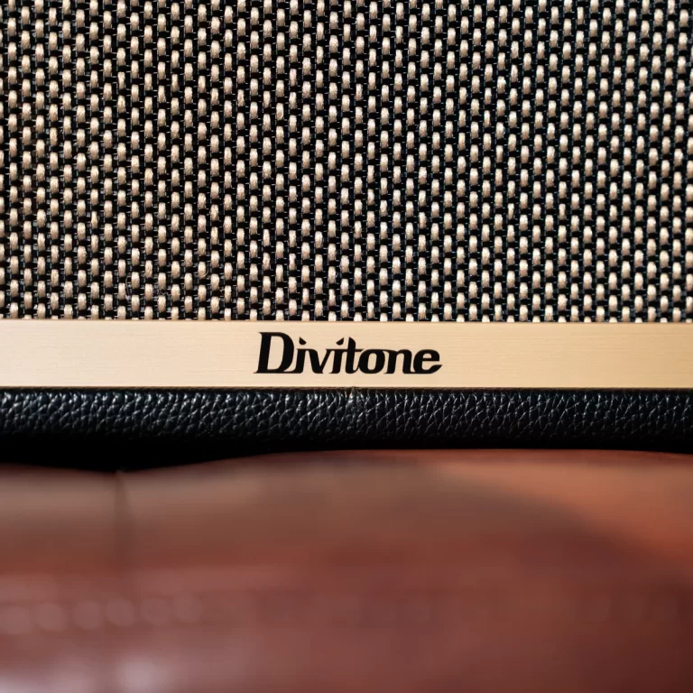 Close-up of a Divitone logo on a woven speaker grille of a guitar amplifier cabinet. ขายราคาพิเศษ