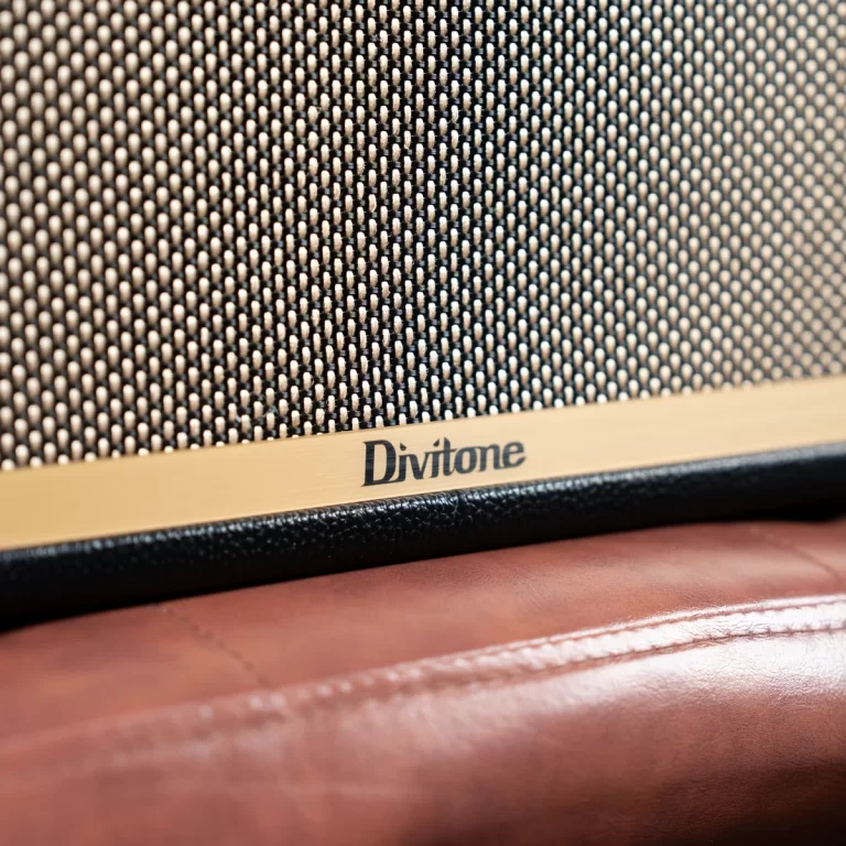 Close-up of a speaker grille with a gold metal band and the brand name 'Divitone' visible, resting on brown leather. ขายราคาพิเศษ