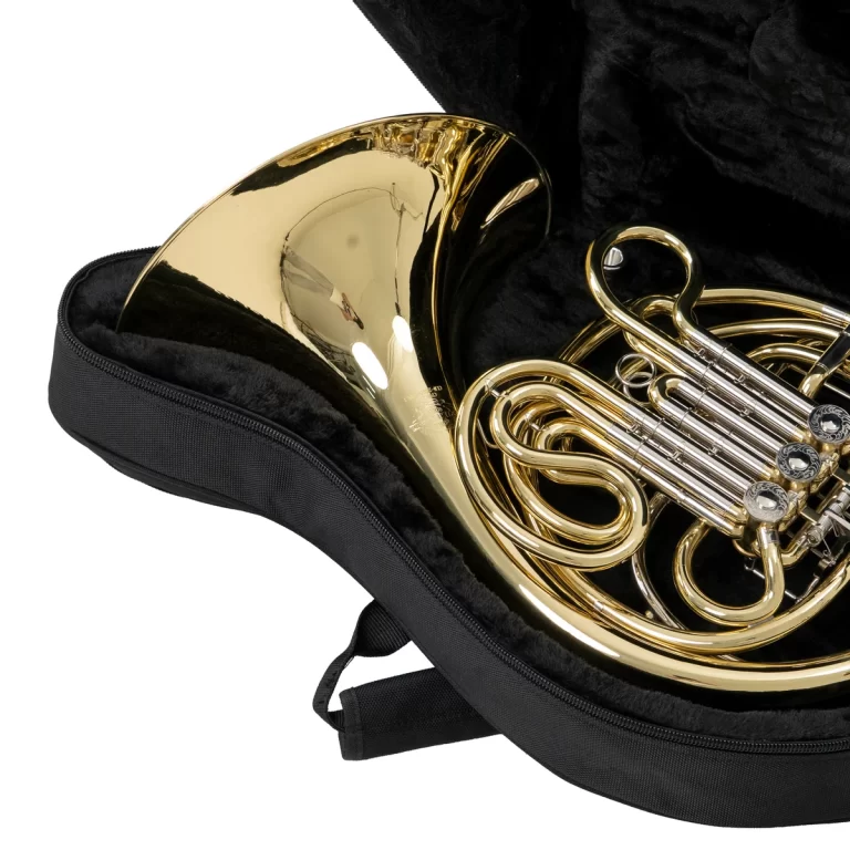 Gold brass French horn in a black padded case with plush interior visible around it. ขายราคาพิเศษ