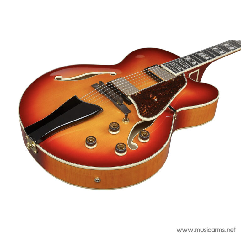Sunburst semi-acoustic electric guitar with f-holes, tortoise pickguard, and gold hardware on a white background. ขายราคาพิเศษ