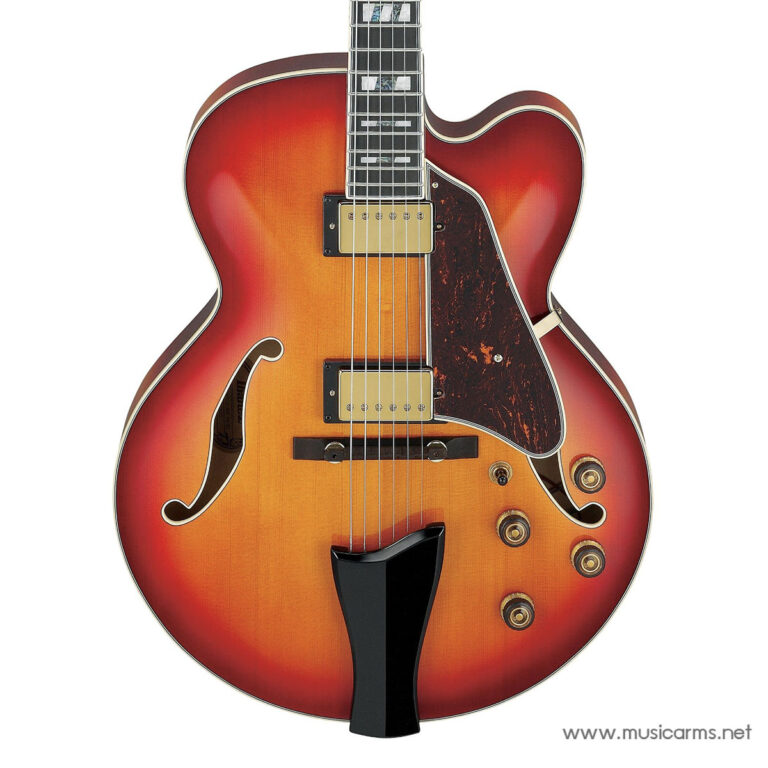 Sunburst semi-hollow electric guitar with f-holes, two gold pickups, and a tortoiseshell pickguard. ขายราคาพิเศษ