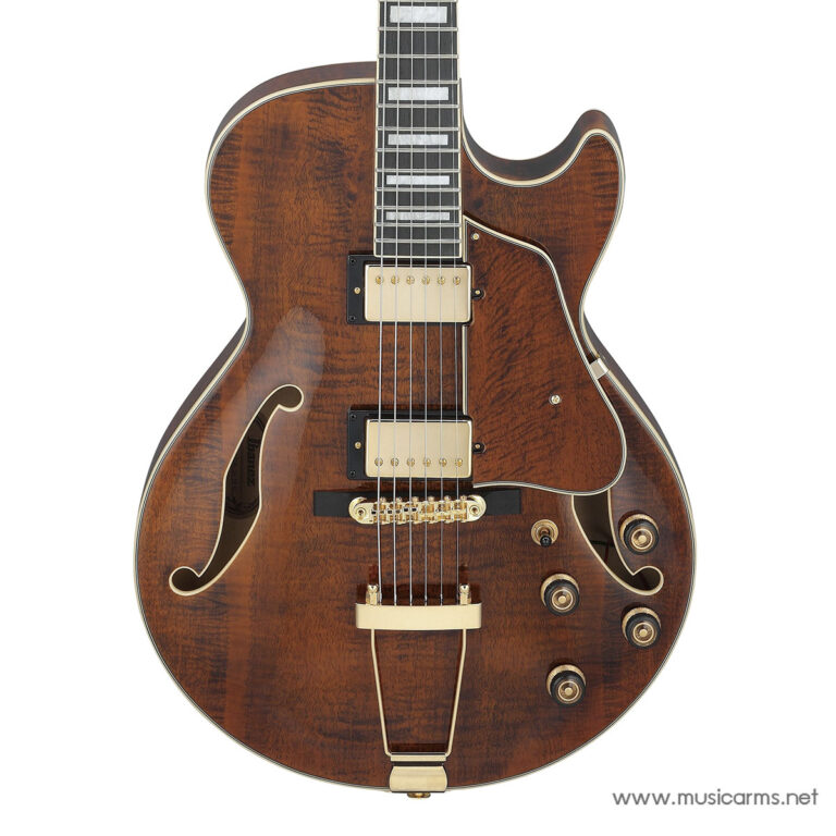 Brown archtop electric guitar with dual humbucker pickups, gold hardware, and f-holes on a warm maple finish, white background ขายราคาพิเศษ