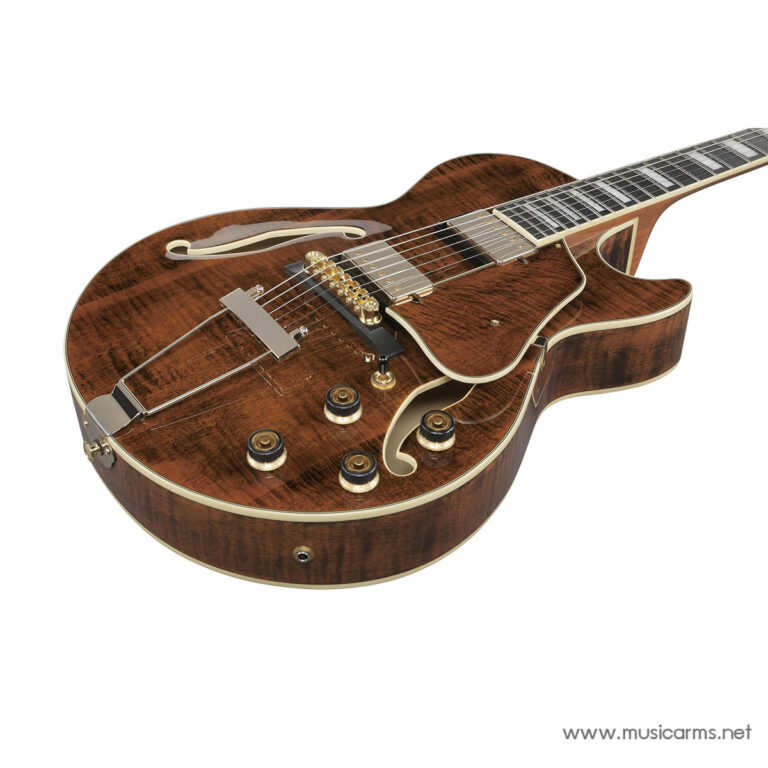 Polished brown archtop electric guitar with gold hardware and f-holes on a sunburst wood finish to describe its style and features ขายราคาพิเศษ