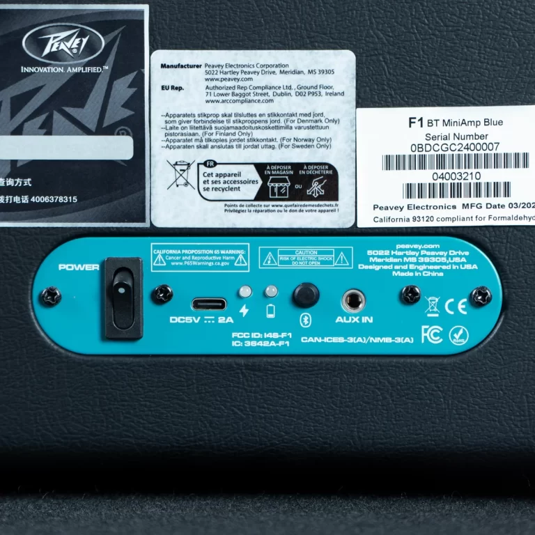 Back panel of a Peavey F1 BT MiniAmp Blue showing the power switch, input ports (DC5V, AUX IN), and label stickers ขายราคาพิเศษ