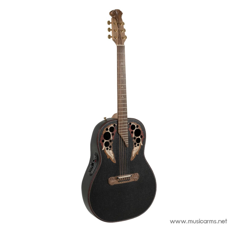 Black acoustic guitar with ornate floral cutout artwork on the soundboard and brown neck, photographed upright ขายราคาพิเศษ