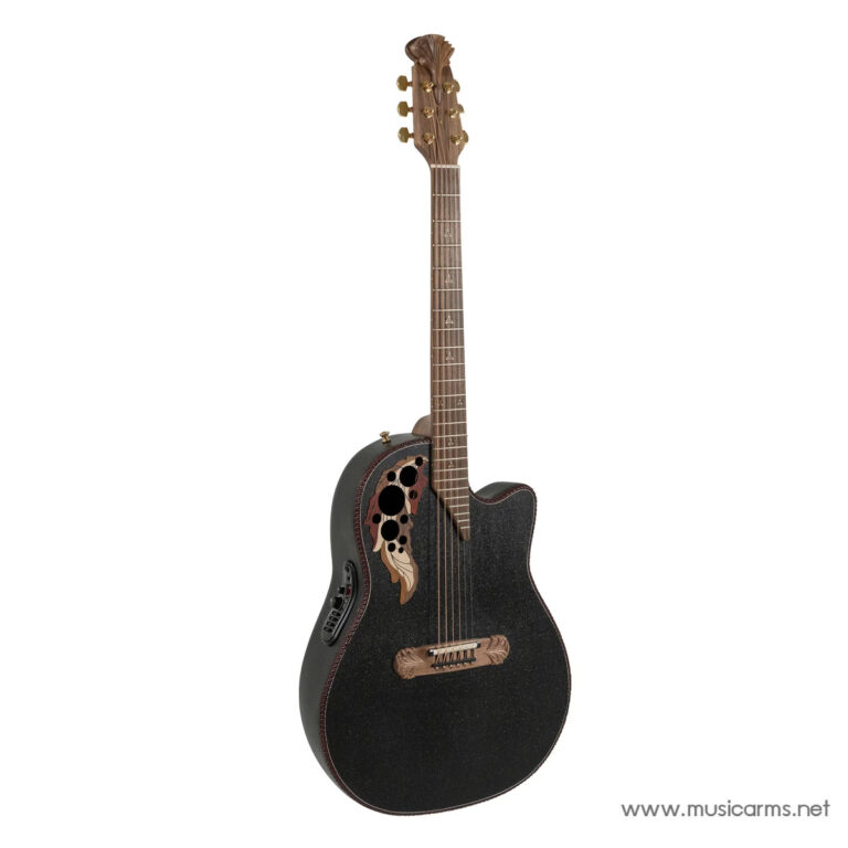 Black acoustic guitar with a cutaway and decorative floral soundhole inlays on a white background. ขายราคาพิเศษ