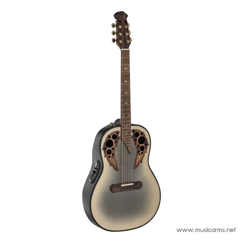 Acoustic guitar with a metallic sunburst finish and decorative wing-like soundhole design on a white background. ขายราคาพิเศษ