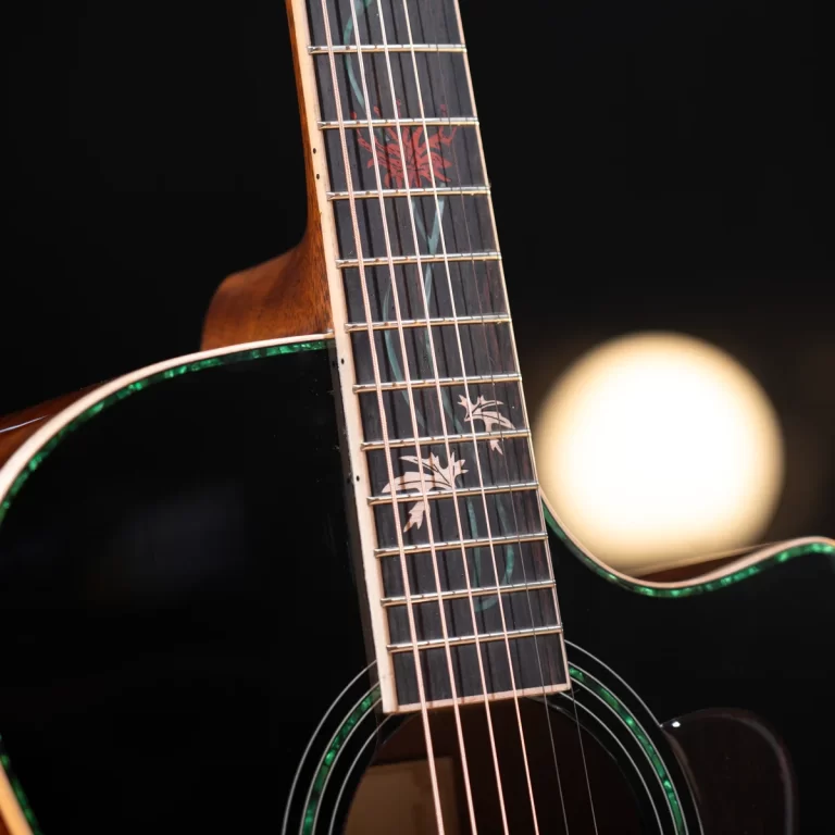 Close-up of a black acoustic guitar neck with wooden fretboard, decorative inlay leaf patterns, and steel strings against a dark background. ขายราคาพิเศษ