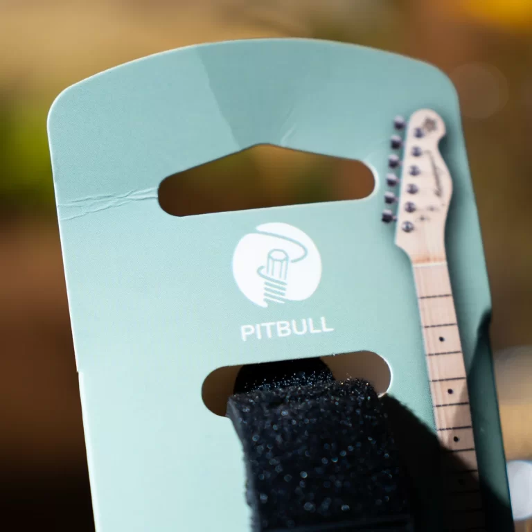 Mint-green display stand with a built-in handle, Pitbull logo, and a partial electric guitar neck visible on the right ขายราคาพิเศษ