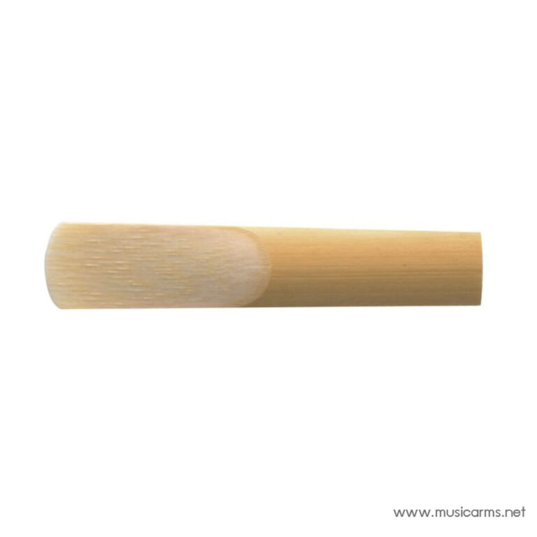 Solid wooden dowel with a rounded left end, laid horizontally on a white background ขายราคาพิเศษ