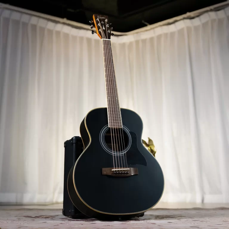 Black acoustic guitar on a stand, body in black with light binding, against a light curtain backdrop. ขายราคาพิเศษ