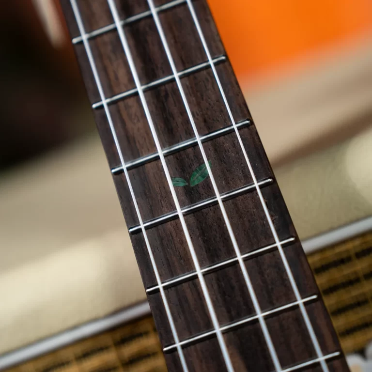 Close-up of guitar fretboard with dark wood, steel strings, and a small green leaf wedged between frets. ขายราคาพิเศษ