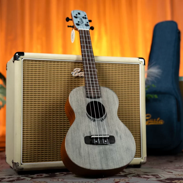 Ukulele resting against a vintage-style amplifier in a warm room, with a blue guitar case in the background. ขายราคาพิเศษ