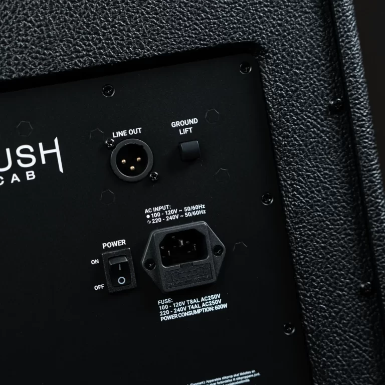 Back panel of a guitar amplifier showing a power switch, IEC power inlet, fuse area, and a line-out XLR connector labeled 'LINE OUT' with a 'GROUND LIFT' switch. ขายราคาพิเศษ