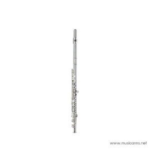 Player PFL-6238S ฟลูตราคาถูกสุด