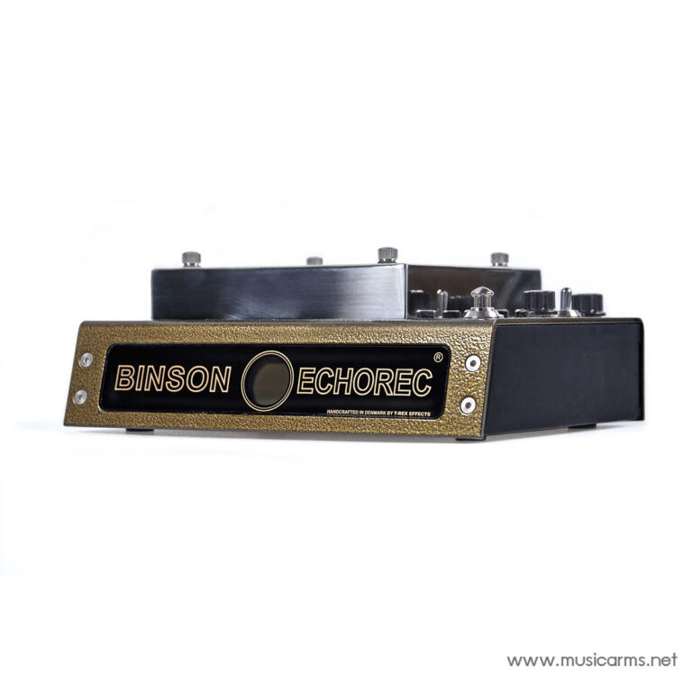Side view of a vintage Binson Echorec guitar effects pedal with gold textured housing and black label plate. ขายราคาพิเศษ