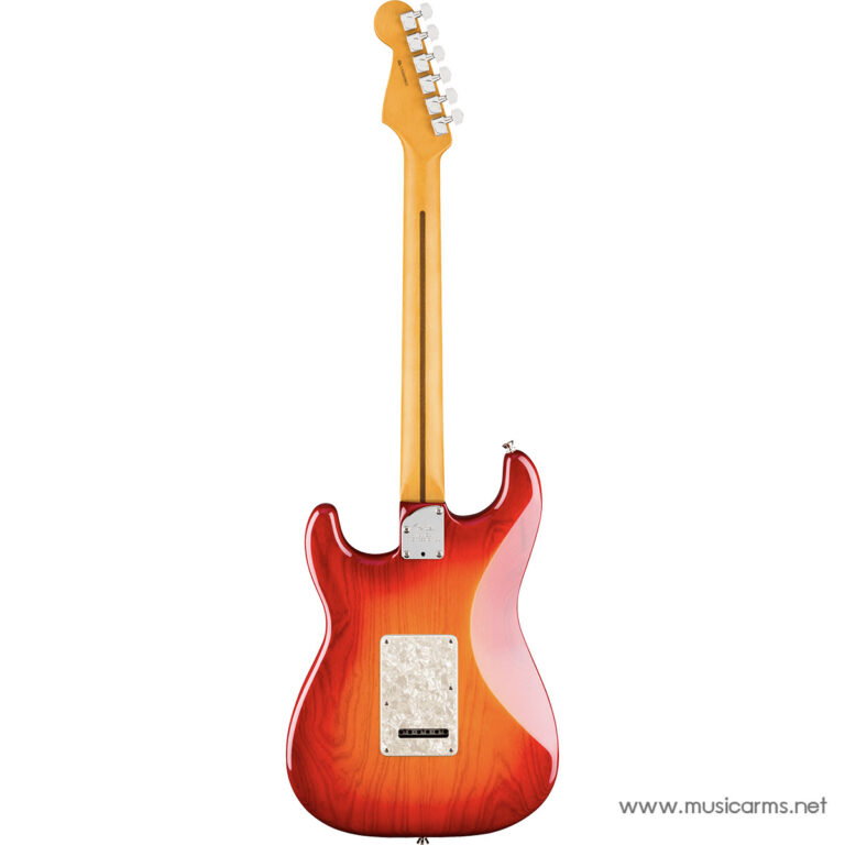Back view of a sunburst electric guitar with a maple neck, showing the chrome neck plate and rear cover plate; watermark reads musicarms.net. ขายราคาพิเศษ