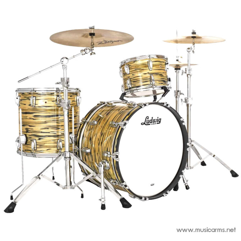 Tiger-striped Ludwig drum kit with bass, rack tom, floor tom, and cymbals on chrome stands against a white background ขายราคาพิเศษ