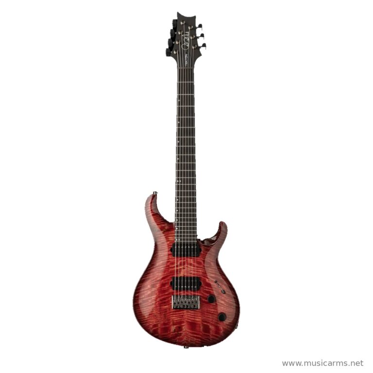 PRS Tekton SVN กีตาร์ไฟฟ้า ขายราคาพิเศษ