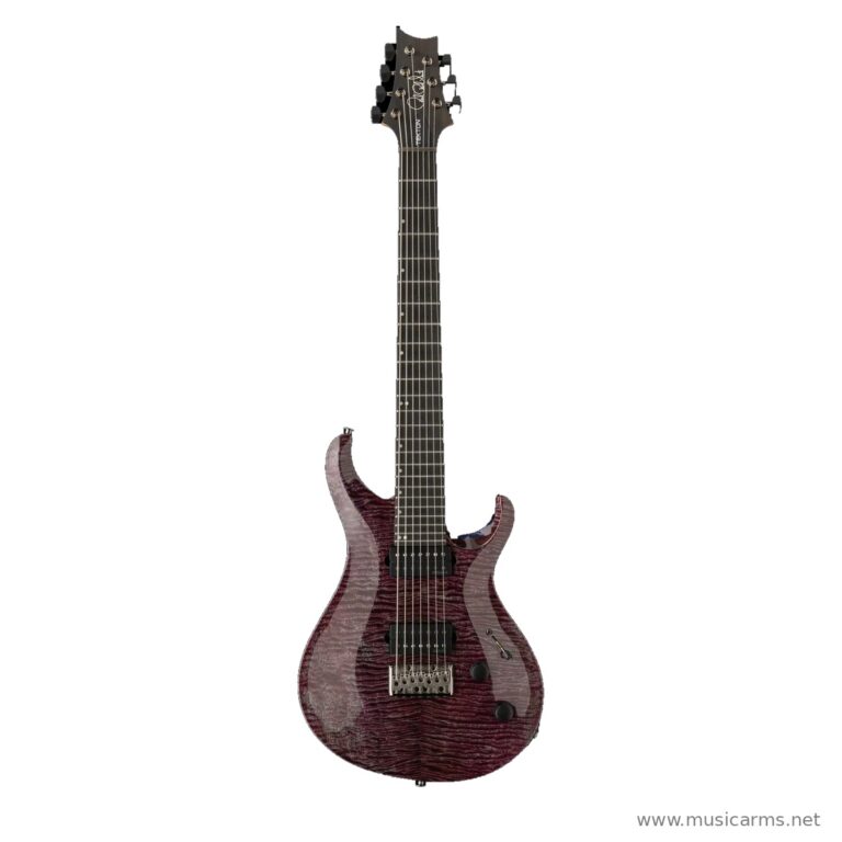 PRS Tekton SVN กีตาร์ไฟฟ้า ขายราคาพิเศษ