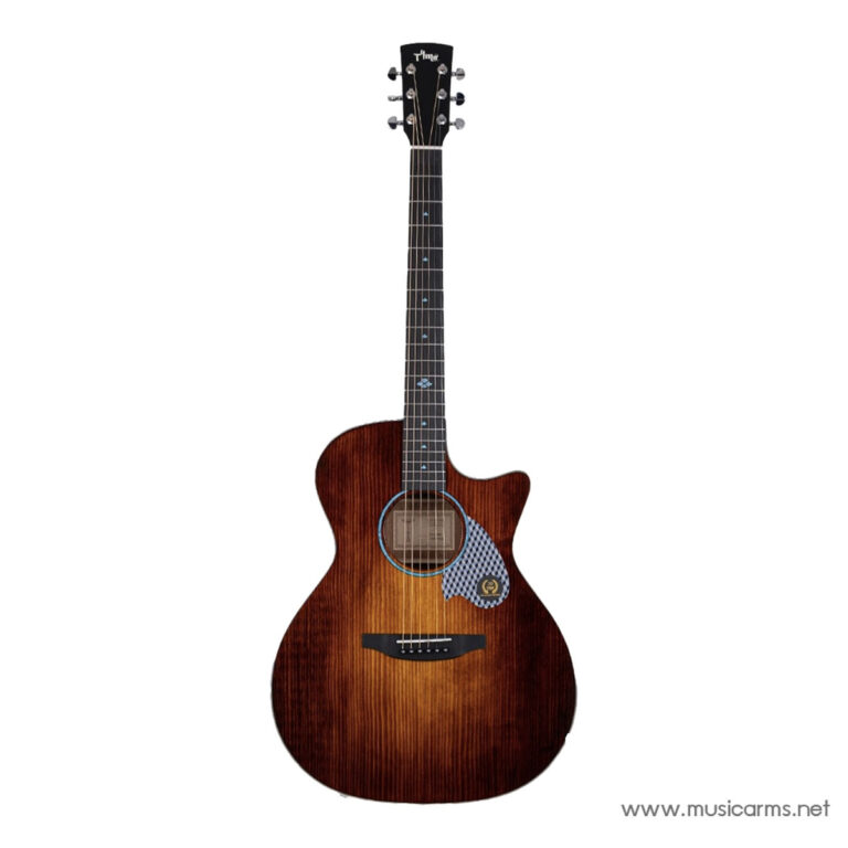 Sunburst acoustic guitar with a single cutaway and glossy wood grain against a white background. ขายราคาพิเศษ
