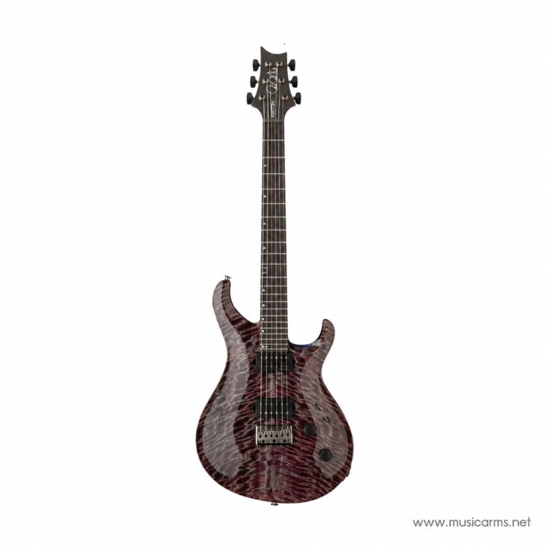 PRS Tekton ขายราคาพิเศษ